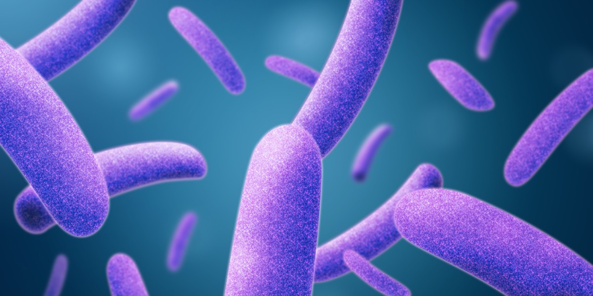 Legionella