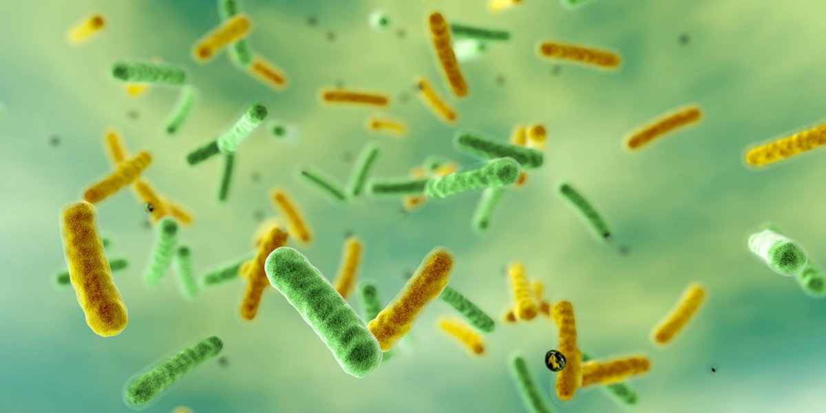 Legionella