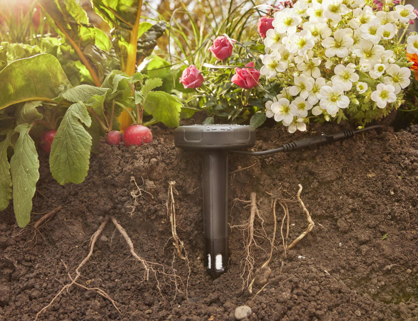 GARDENA čidlo půdní vlhkosti, bateriové 967926801 Obrázek - fotka