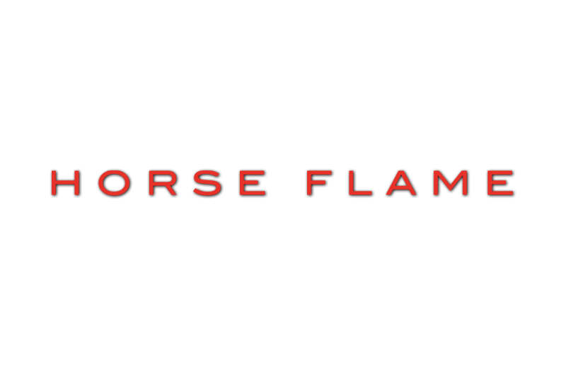 Logo Horse Flame